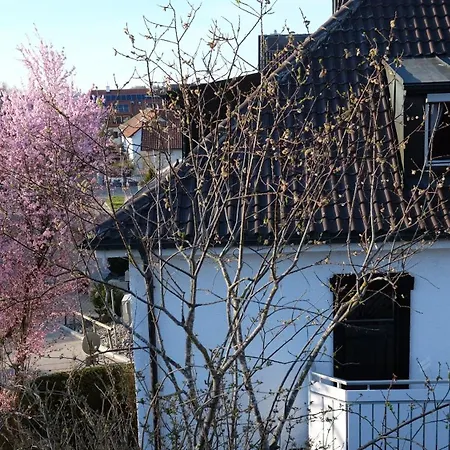 Lägenhet Basilissa