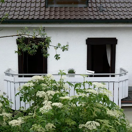 Lägenhet Basilissa *
